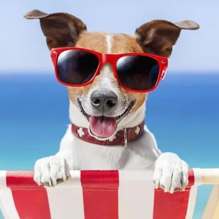 El Amanecer De 3 * Calpe